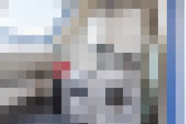 Krekelshofstraat 18 Veghel thumbnail 46