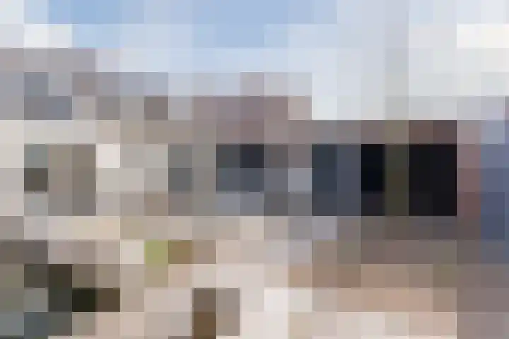 Krekelshofstraat 18 Veghel thumbnail 56