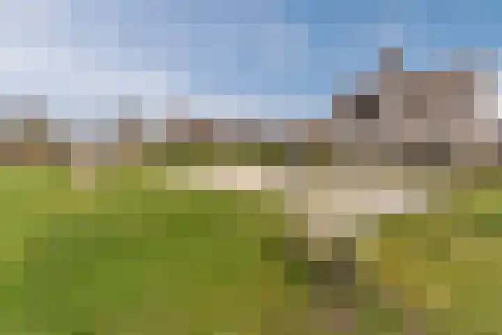 Krekelshofstraat 18 Veghel thumbnail 68