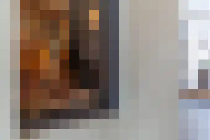 Krekelshofstraat 18 Veghel thumbnail 7