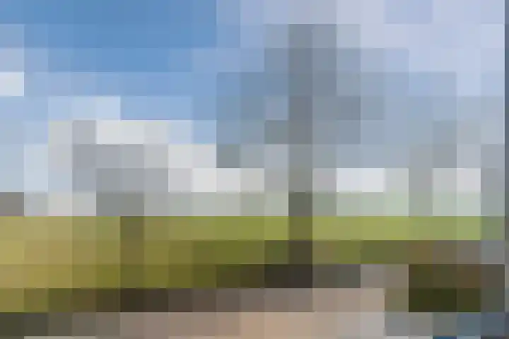 Krekelshofstraat 18 Veghel thumbnail 71