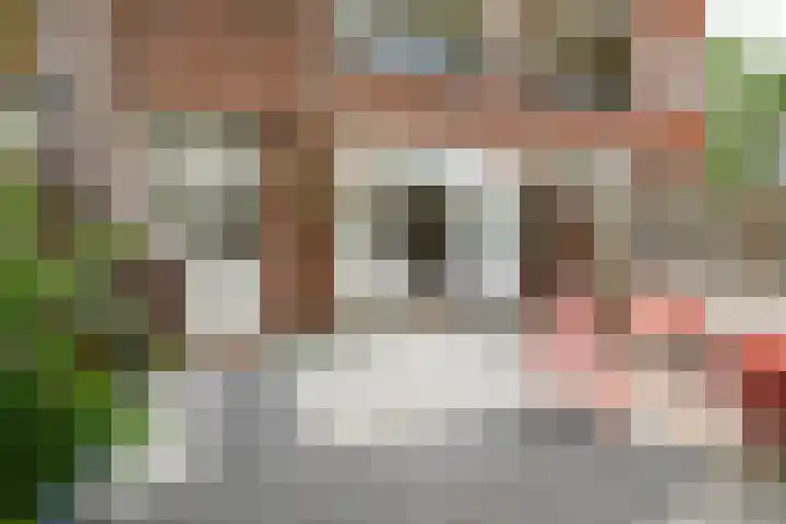 Krekelstraat 11 A Rotterdam thumbnail 6
