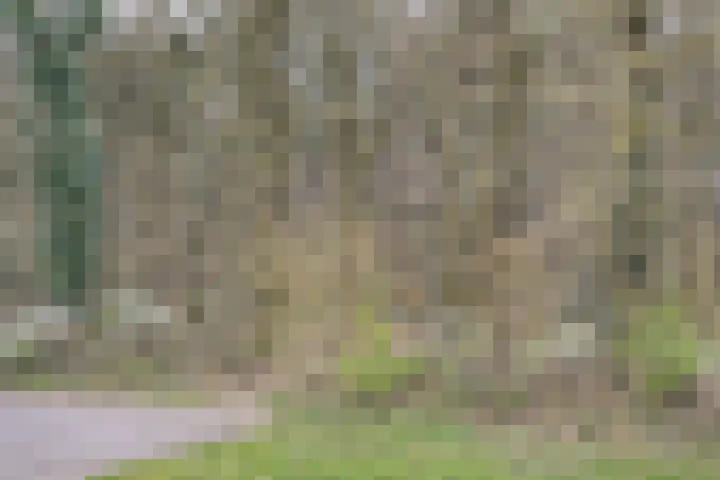 Krekelstraat 23 Groesbeek thumbnail 41