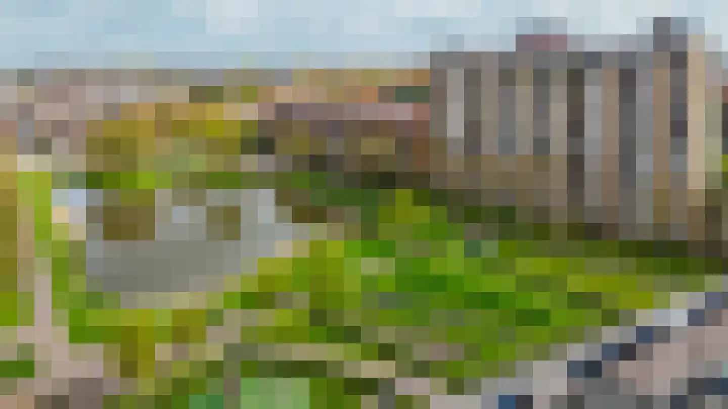 Krekelstraat 3 C Rotterdam thumbnail 33