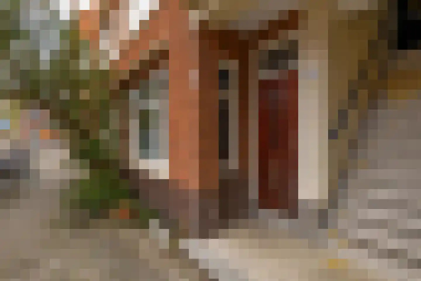 Krekelstraat 3 C Rotterdam thumbnail 5