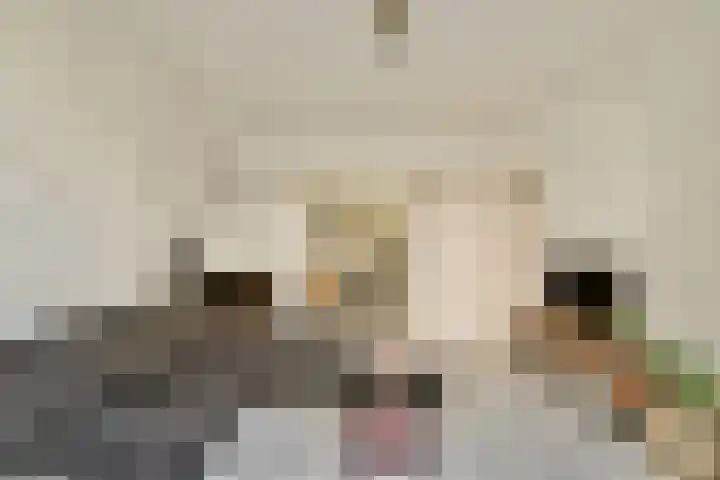 Krekelstraat 5 A Rotterdam thumbnail 8