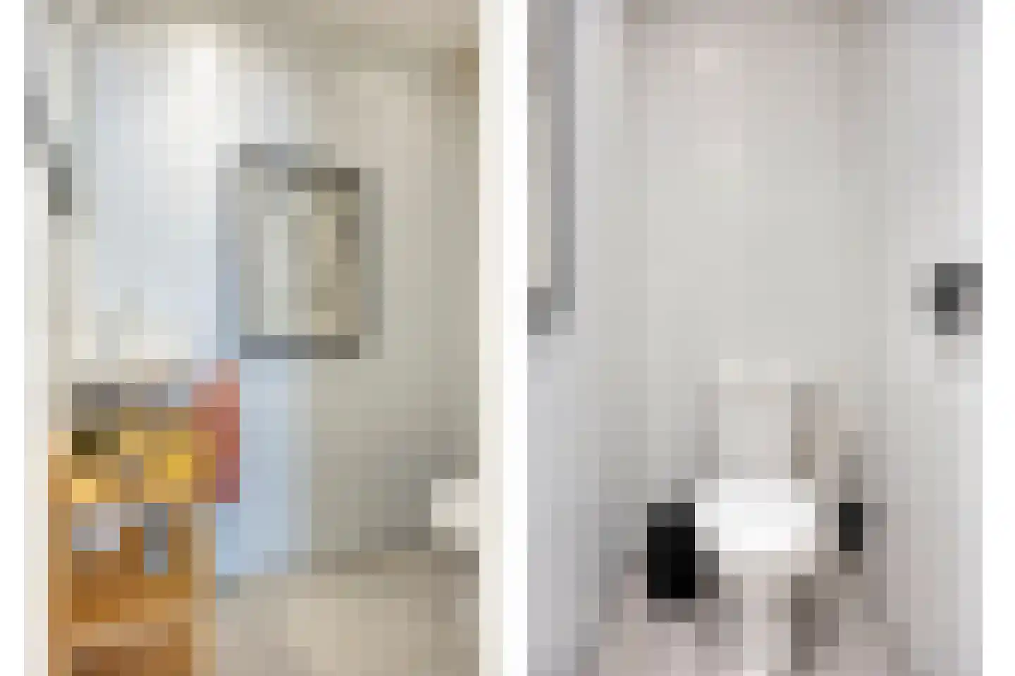 Krekelstraat 6 B 02 Rotterdam thumbnail 11