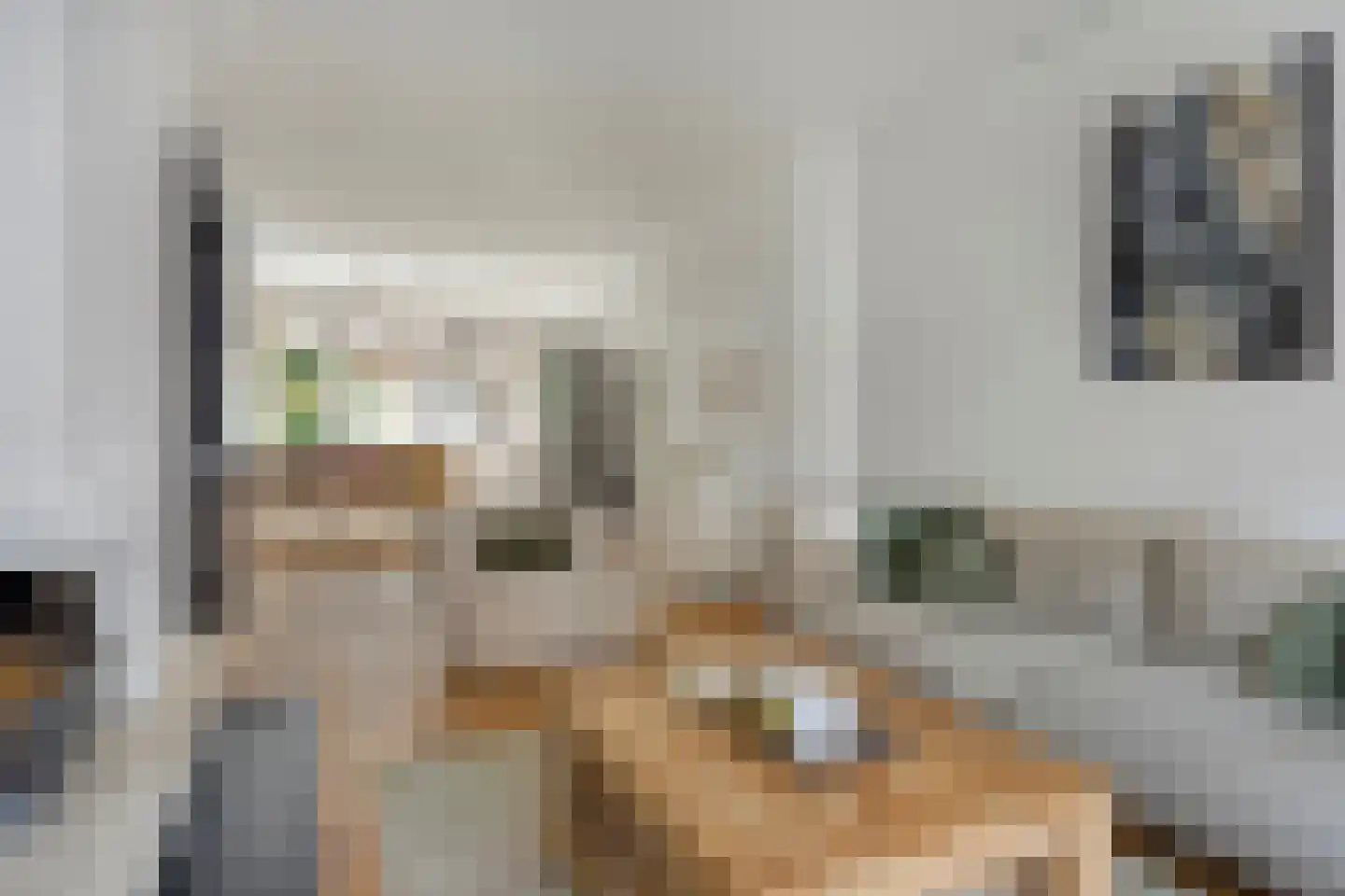 Krekelstraat 6 B 02 Rotterdam thumbnail 20