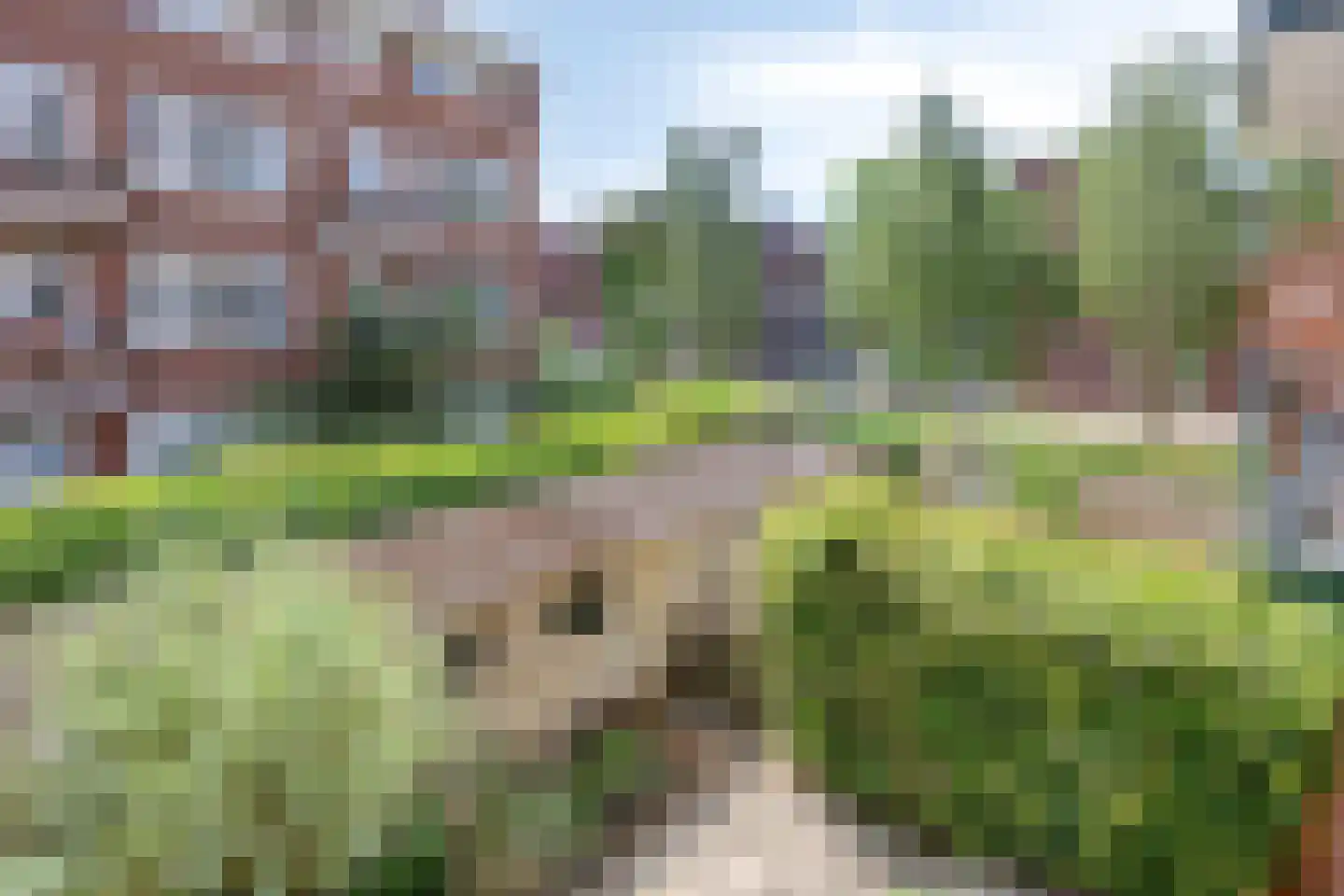 Krekelstraat 6 B 02 Rotterdam thumbnail 28