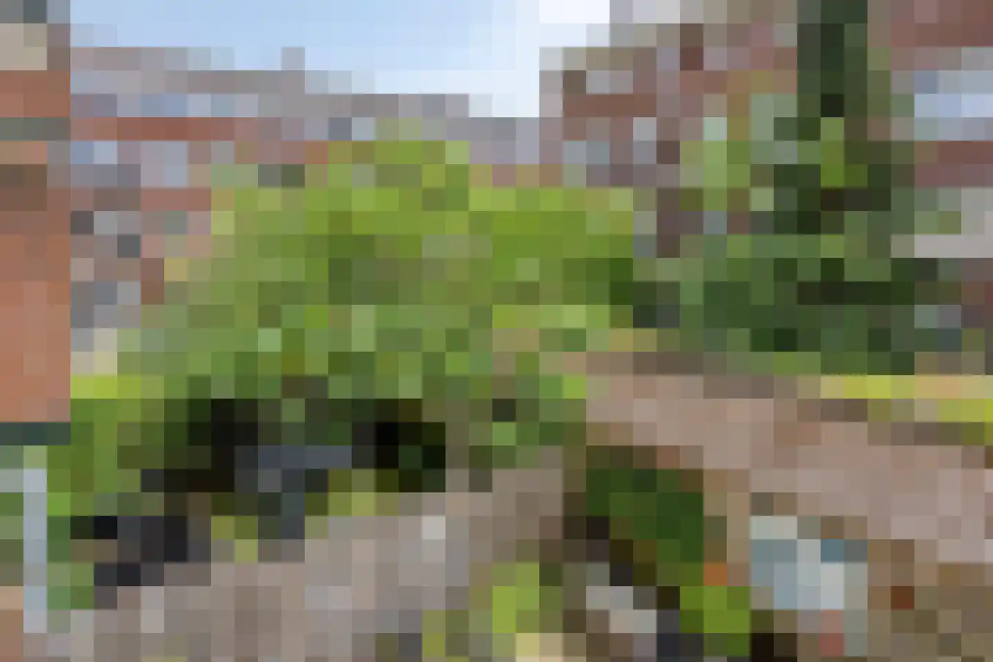 Krekelstraat 6 B 02 Rotterdam thumbnail 29
