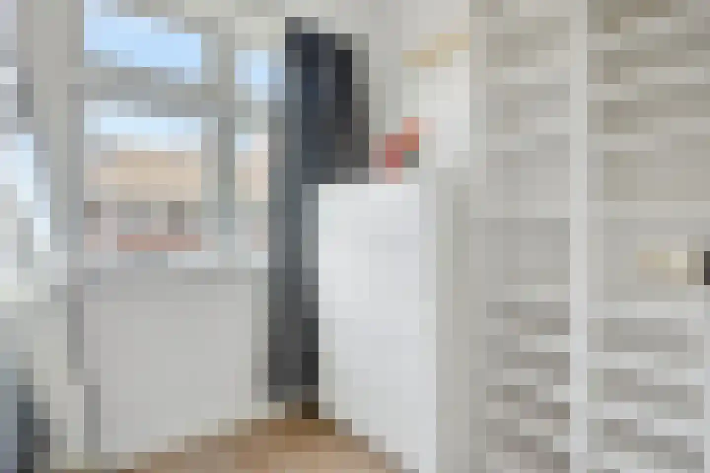Krekelstraat 6 B 02 Rotterdam thumbnail 34