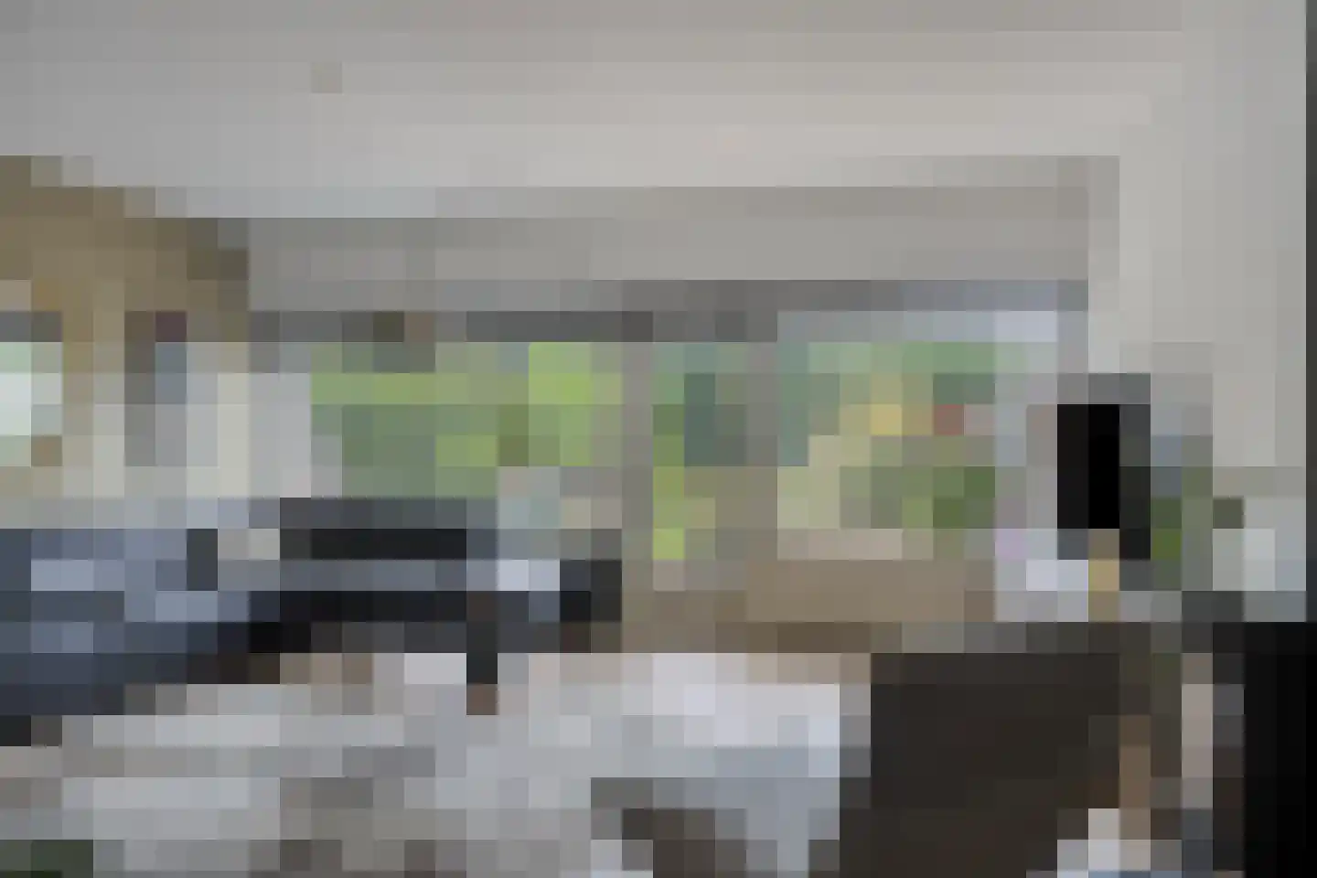 Krekelveen 140 Spijkenisse thumbnail 12