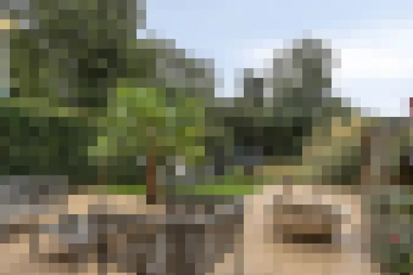 Krekelveen 140 Spijkenisse thumbnail 30