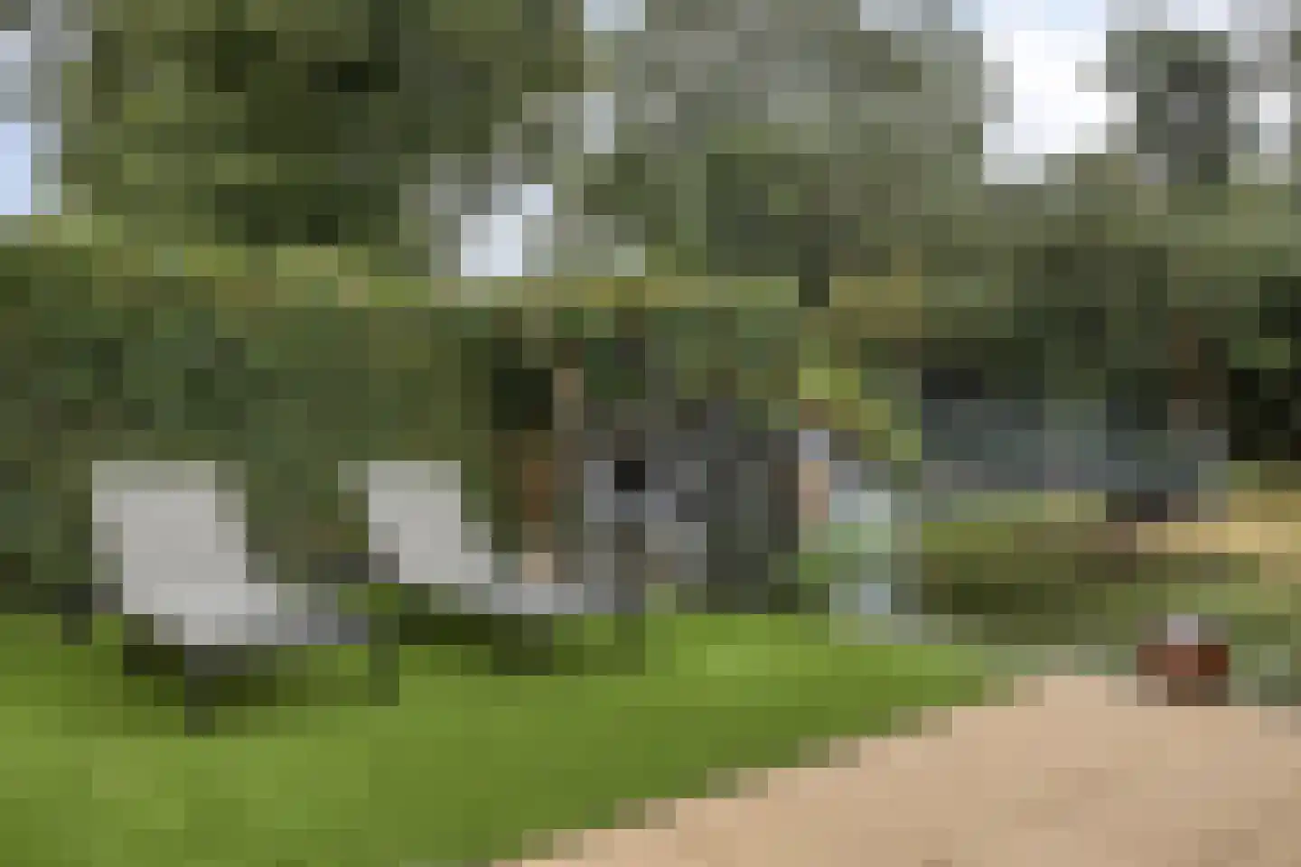Krekelveen 140 Spijkenisse thumbnail 31