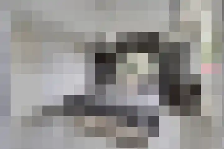 Krekelveen 242 Spijkenisse thumbnail 13