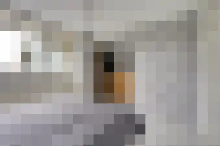 Krekelveen 242 Spijkenisse thumbnail 14