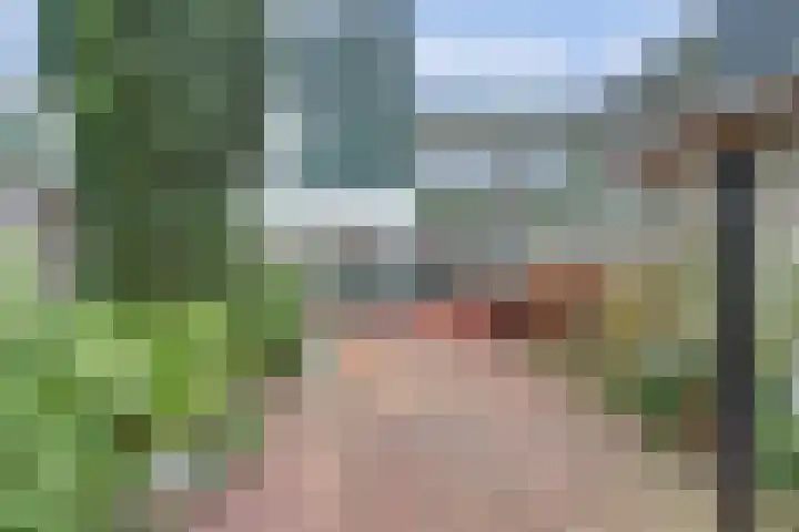 Krekelveen 242 Spijkenisse thumbnail 29