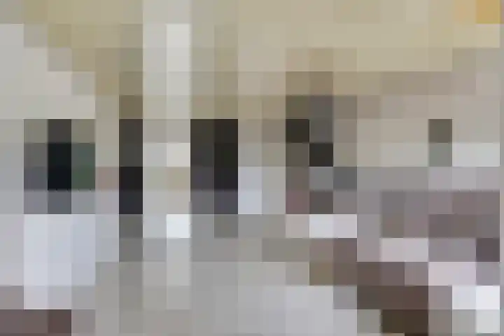 Krekelveen 242 Spijkenisse thumbnail 9