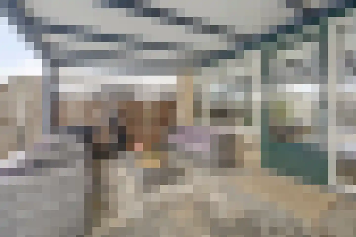 Krekelveen 356 Spijkenisse thumbnail 21