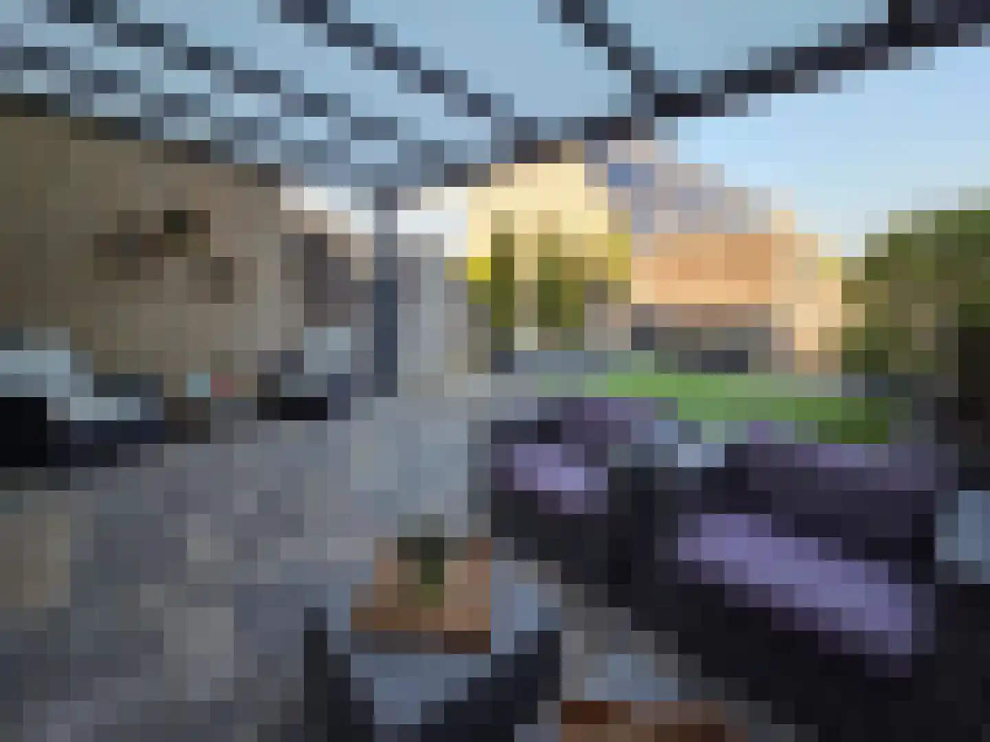 Krekelveen 356 Spijkenisse thumbnail 22