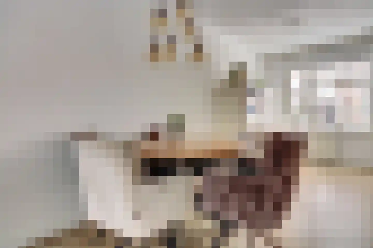 Krekelveen 356 Spijkenisse thumbnail 8