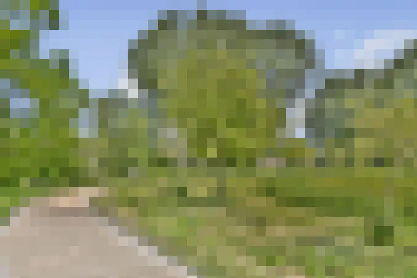 Krekelveen 409 Spijkenisse thumbnail 24