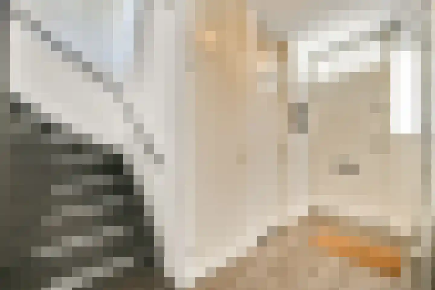 Krekelveen 409 Spijkenisse thumbnail 6