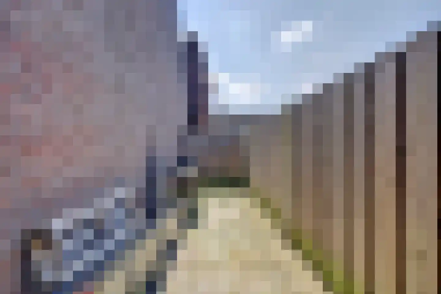 Krekelveen 520 Spijkenisse thumbnail 14