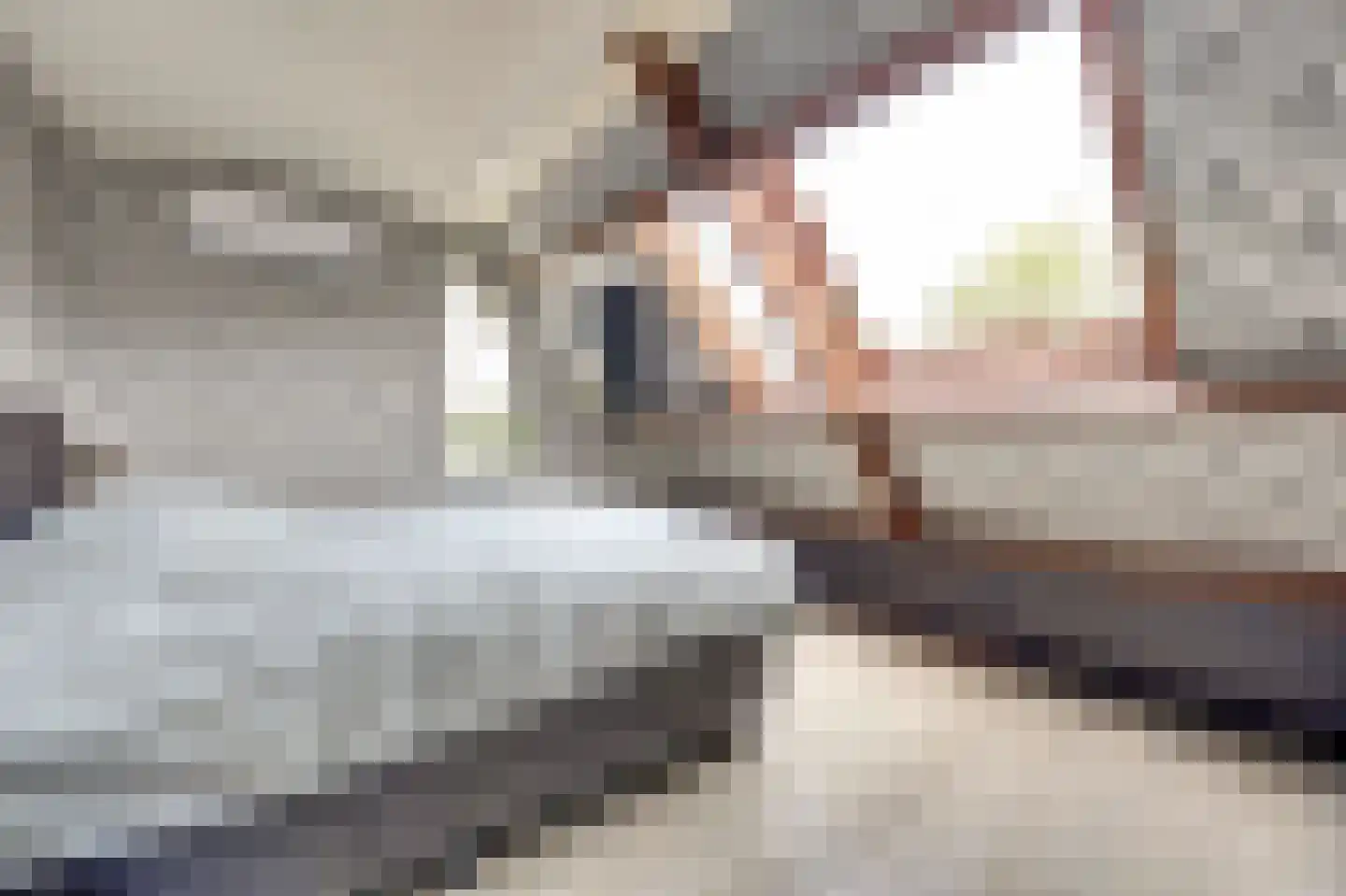 Krekelveen 520 Spijkenisse thumbnail 19