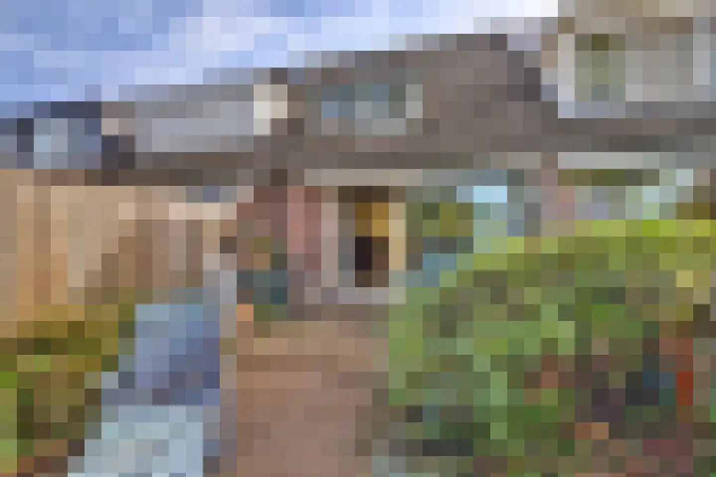 Krekelveen 544 Spijkenisse thumbnail 11