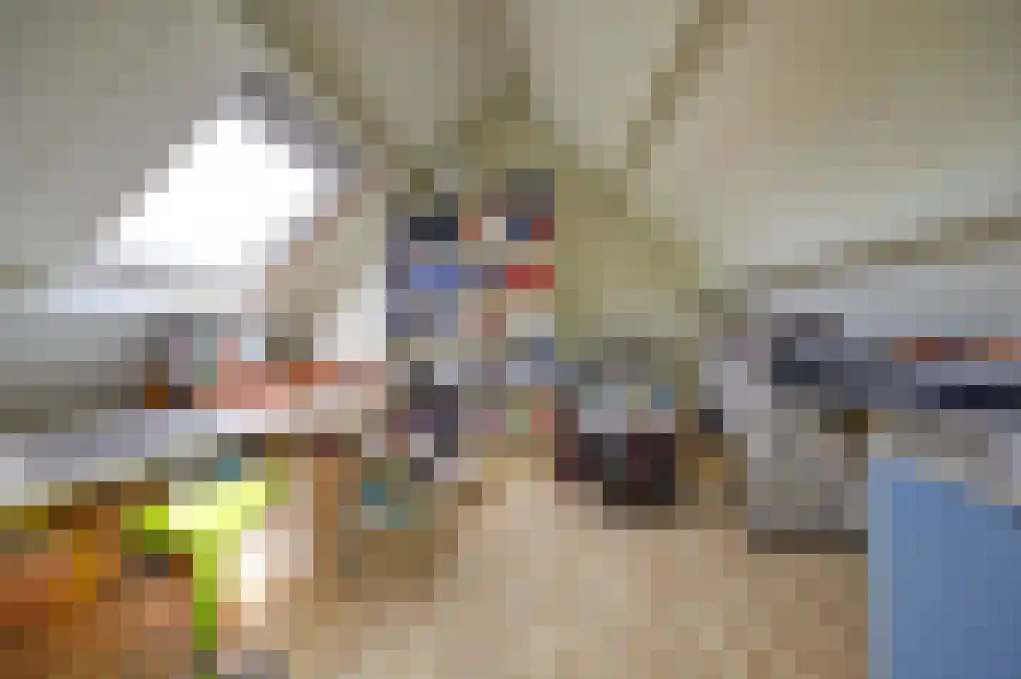 Krekelveen 544 Spijkenisse thumbnail 27