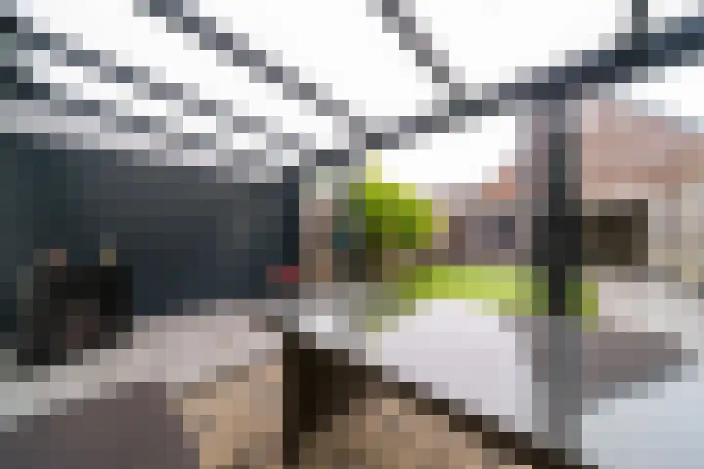 Krekelveen 609 Spijkenisse thumbnail 21