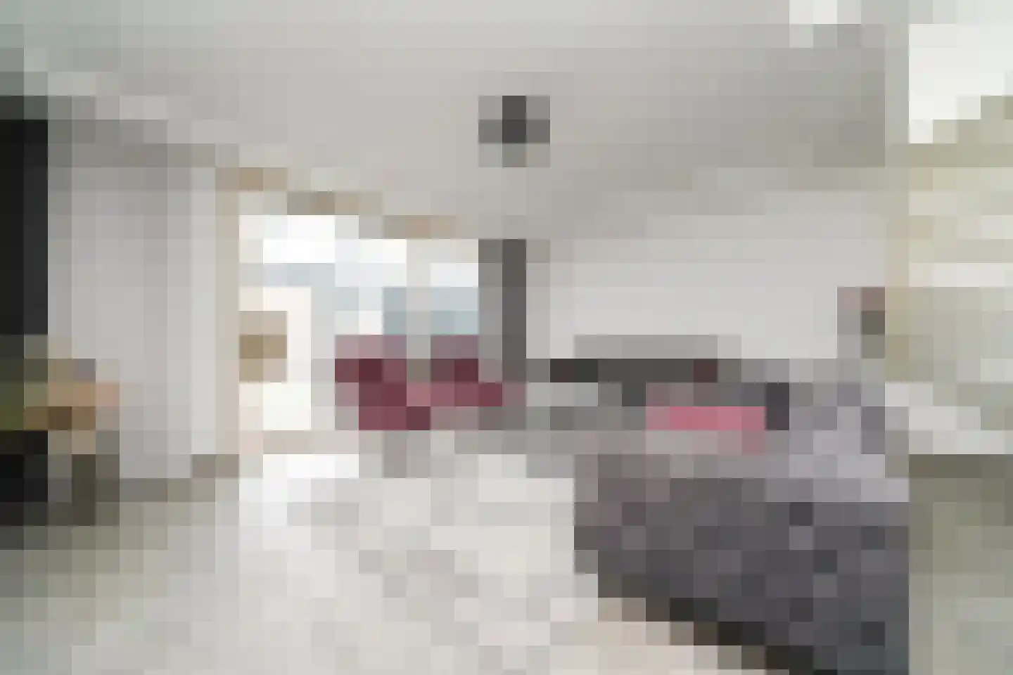 Krekelveen 609 Spijkenisse thumbnail 7