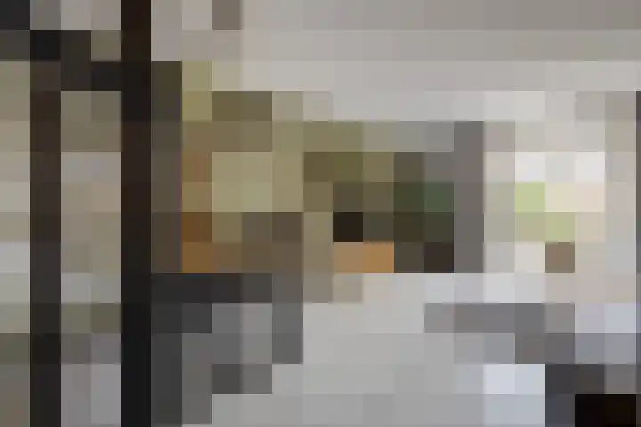 Krekelveen 621 Spijkenisse thumbnail 15