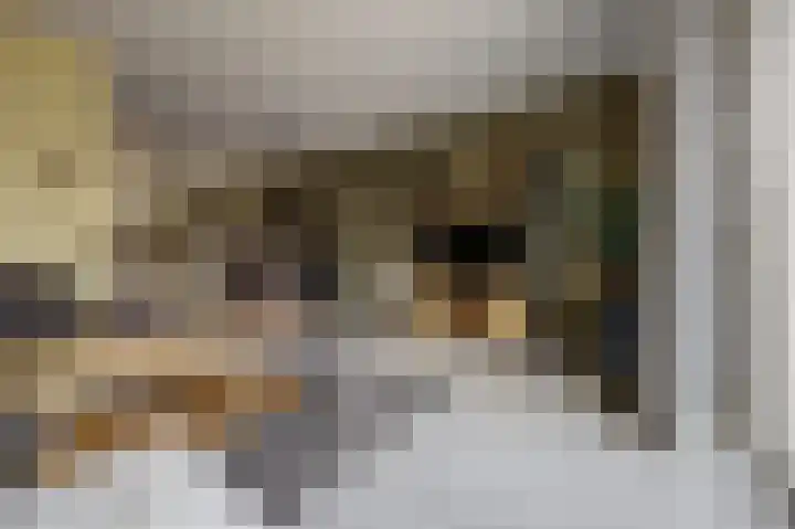 Krekelveen 621 Spijkenisse thumbnail 16