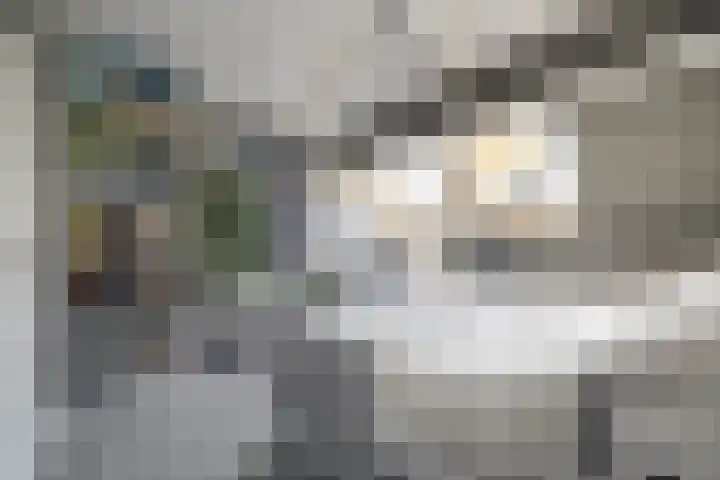 Krekelveen 621 Spijkenisse thumbnail 32