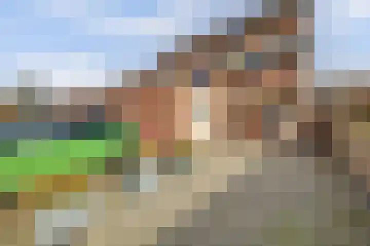 Krekelveen 621 Spijkenisse thumbnail 43