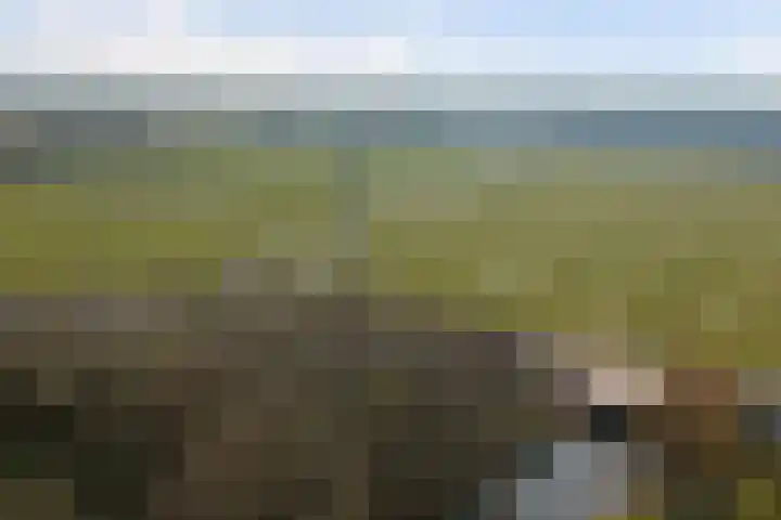 Krekelveen 621 Spijkenisse thumbnail 53