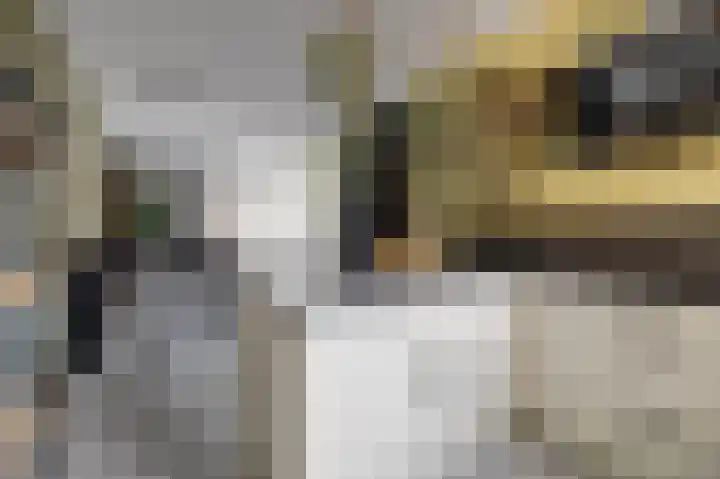 Krekelveen 621 Spijkenisse thumbnail 6