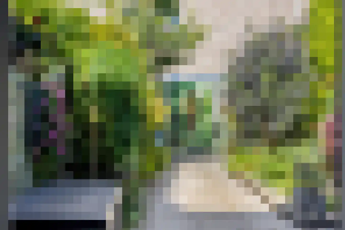 Krekelveld 5 Leiden thumbnail 28