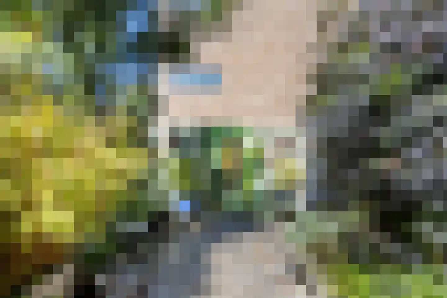 Krekelveld 5 Leiden thumbnail 33