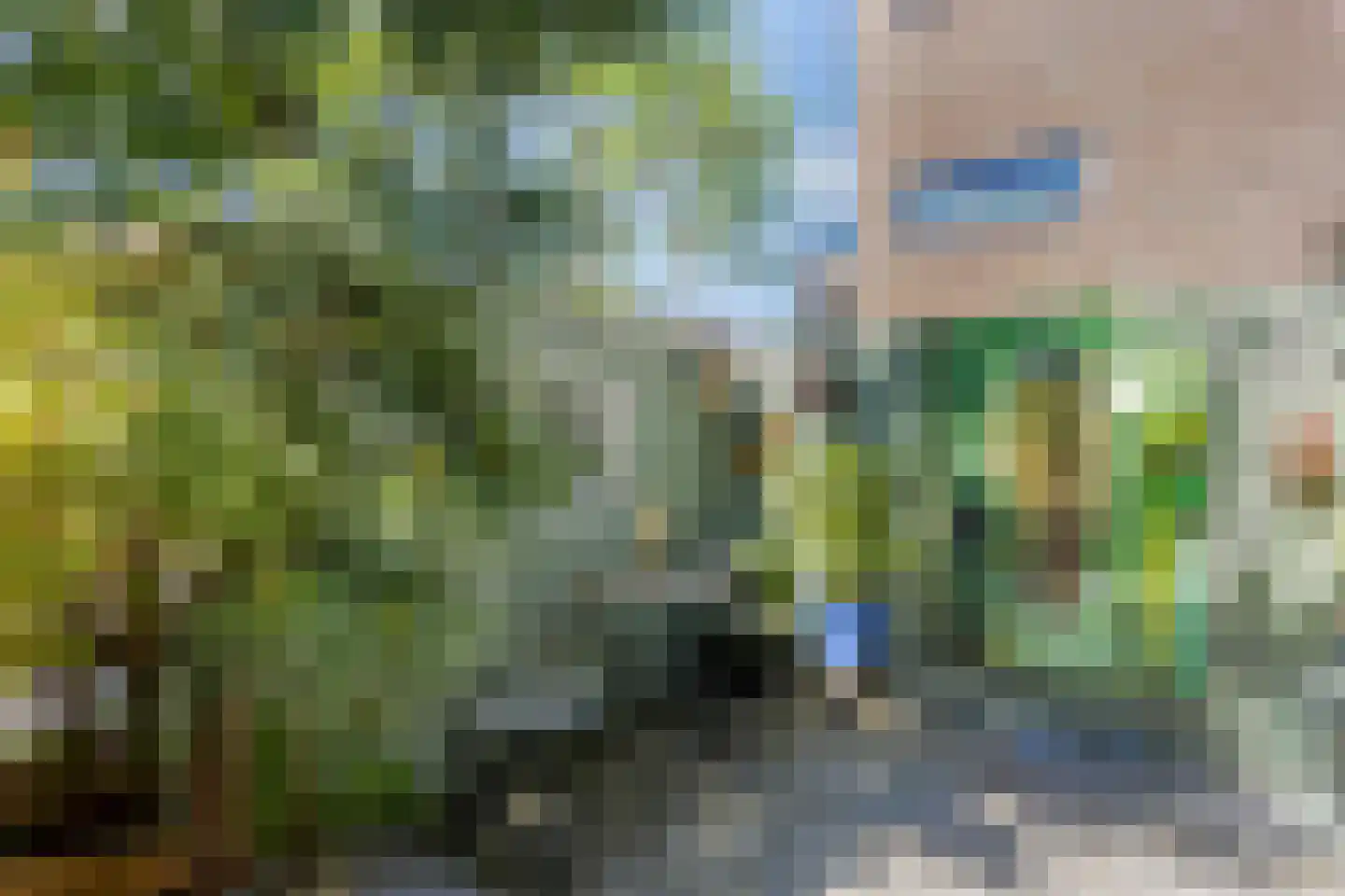 Krekelveld 5 Leiden thumbnail 34