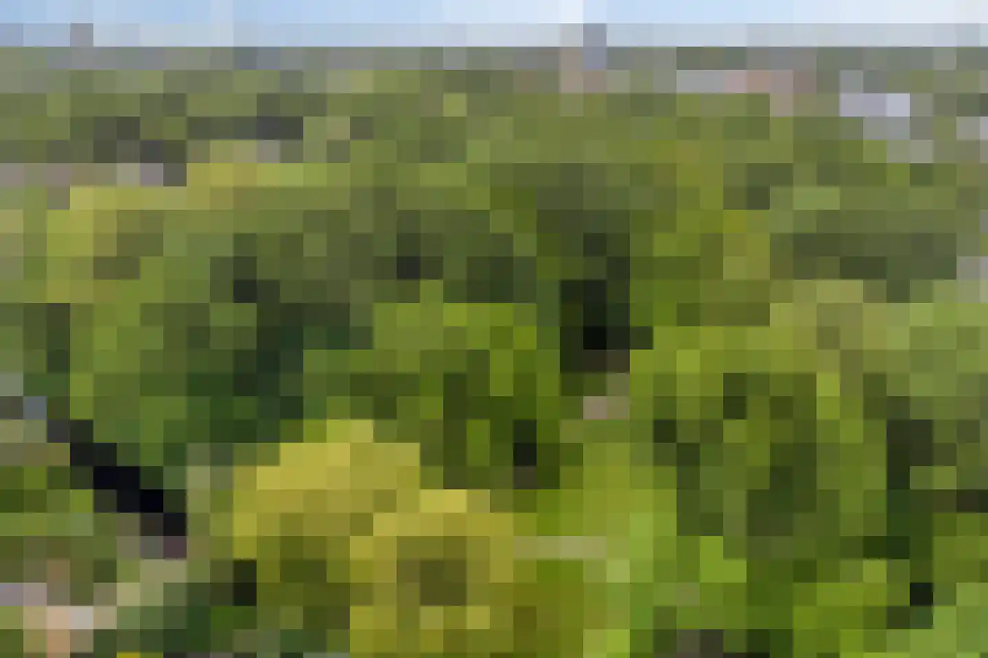 Krekelveld 5 Leiden thumbnail 43