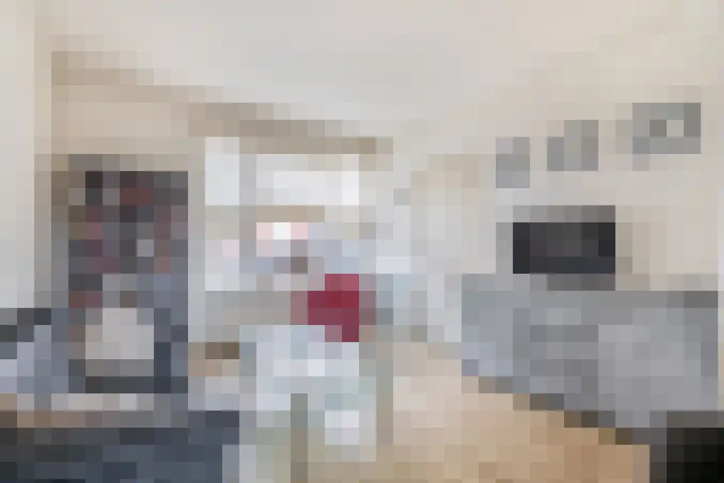Krekelveldstraat 3 Venlo thumbnail 4
