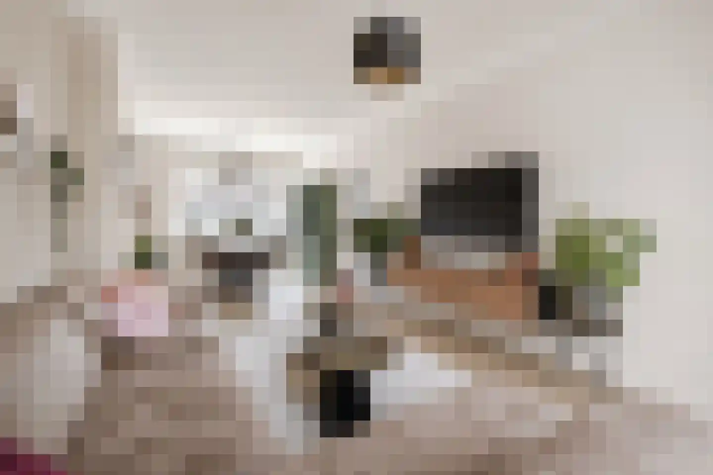Krekelveldstraat 8 Venlo thumbnail 10