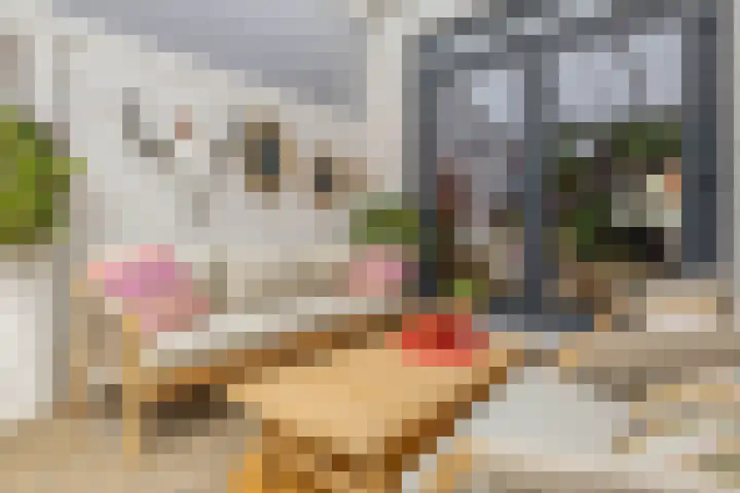 Krekelveldstraat 8 Venlo thumbnail 35