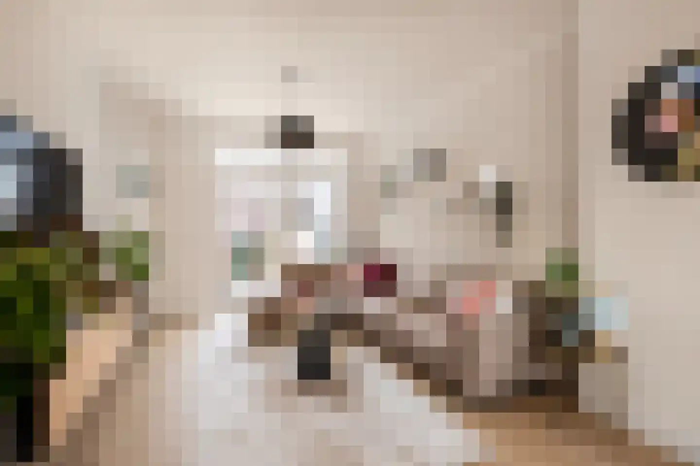 Krekelveldstraat 8 Venlo thumbnail 7