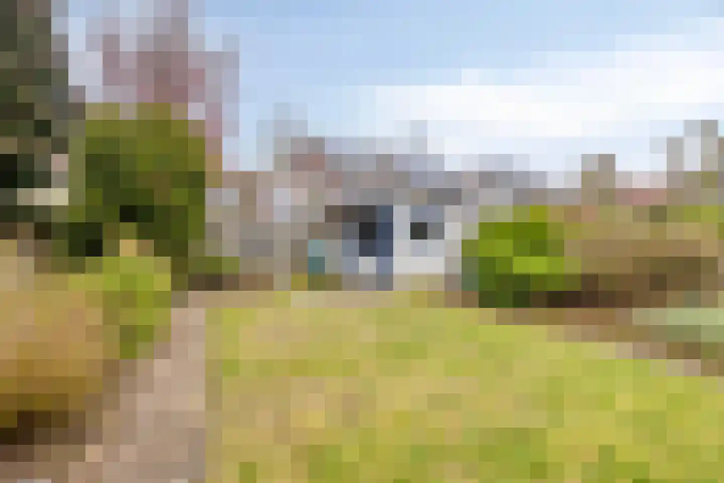 Krekelzanger 98 Boxmeer thumbnail 28