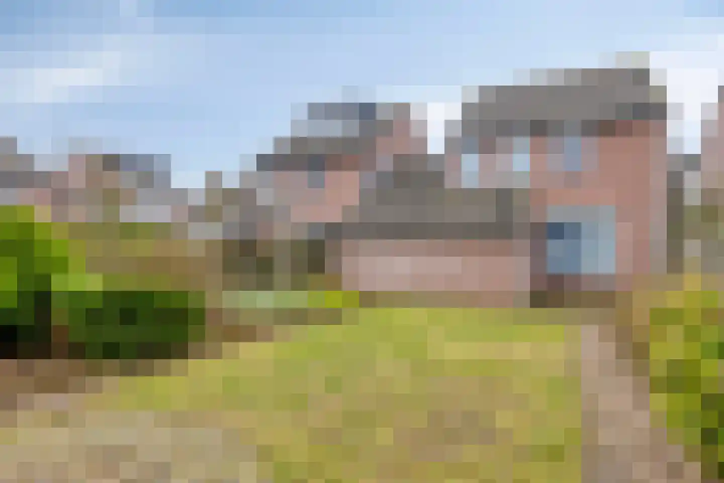 Krekelzanger 98 Boxmeer thumbnail 30