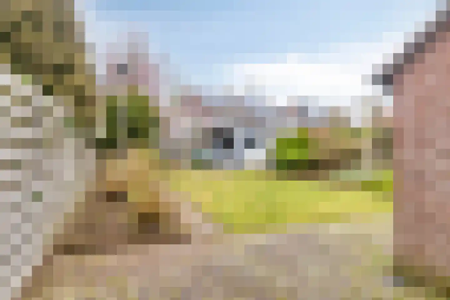 Krekelzanger 98 Boxmeer thumbnail 4